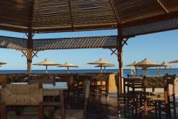 Roots Camp, El Quesier - Red Sea. Terrace.